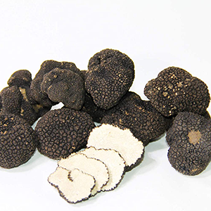 Truffles and Mushrooms
